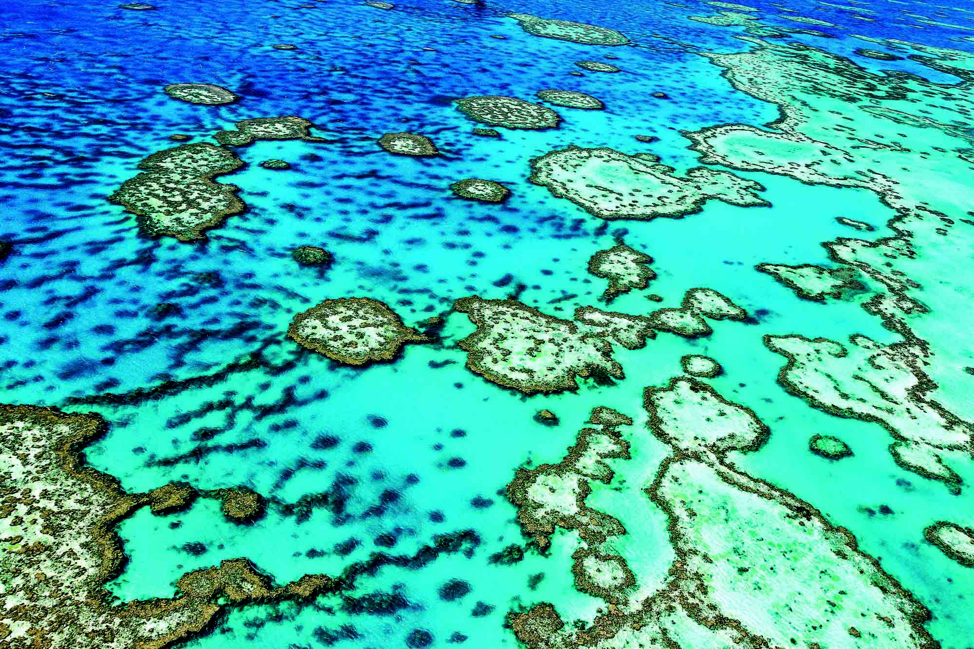 Reiser til Great Barrier Reef