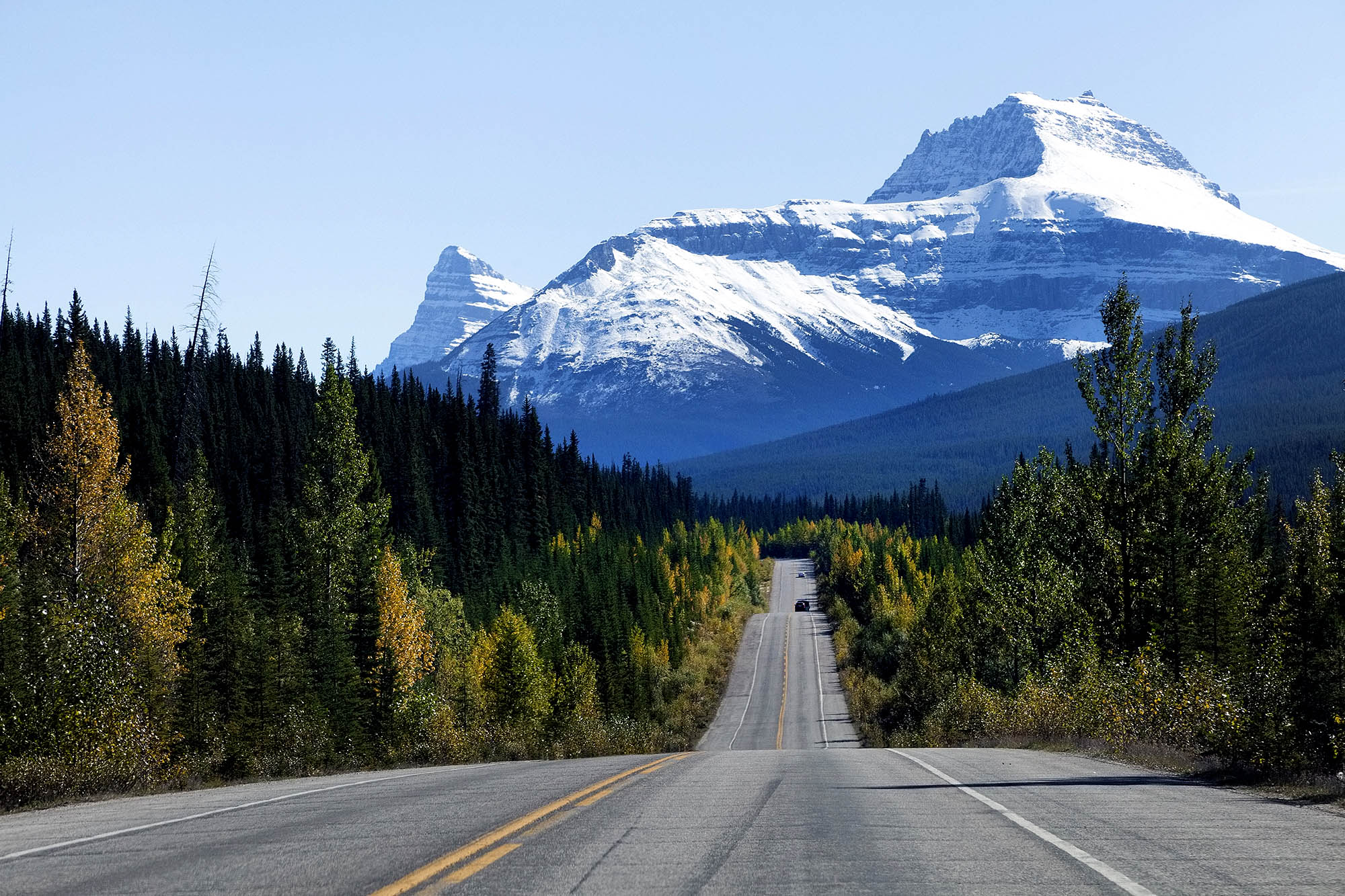 Icefield Parkway - Bilferie i Canada