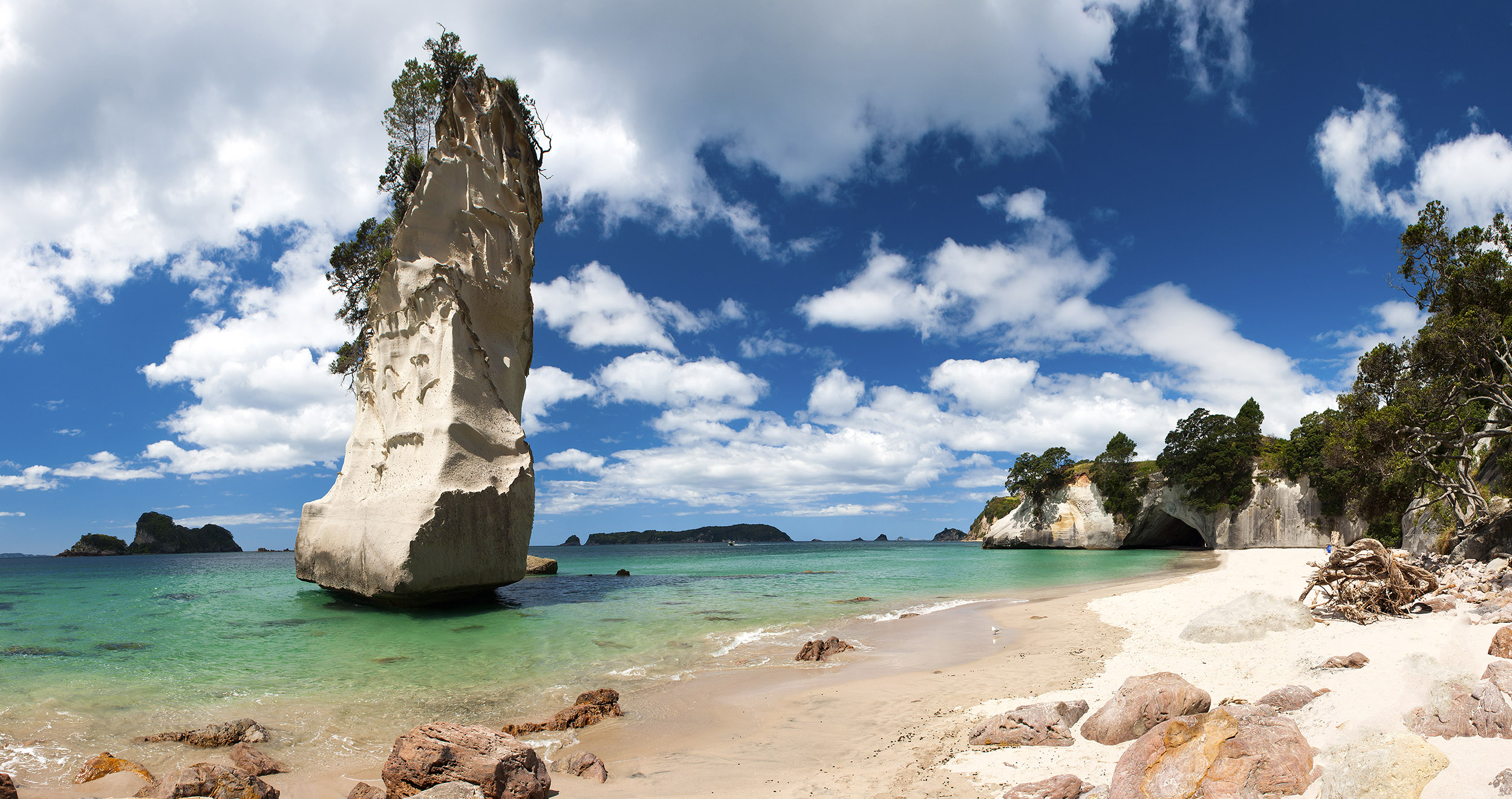 Coromandel Cathedral Cove i New Zealand