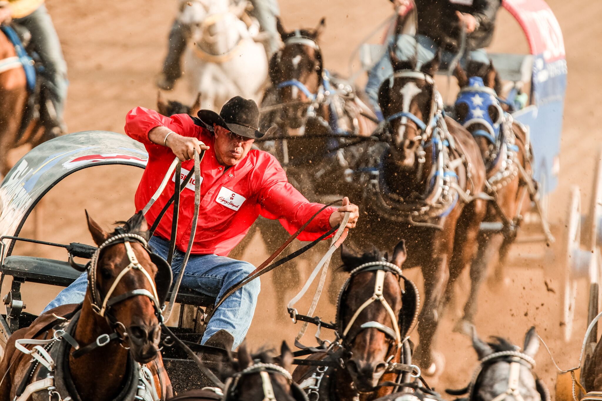 Hestevognkjøring på Calgary Stampede. Foto: Calgary Stampede