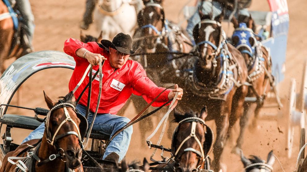 Hestevognkjøring på Calgary Stampede. Foto: Calgary Stampede