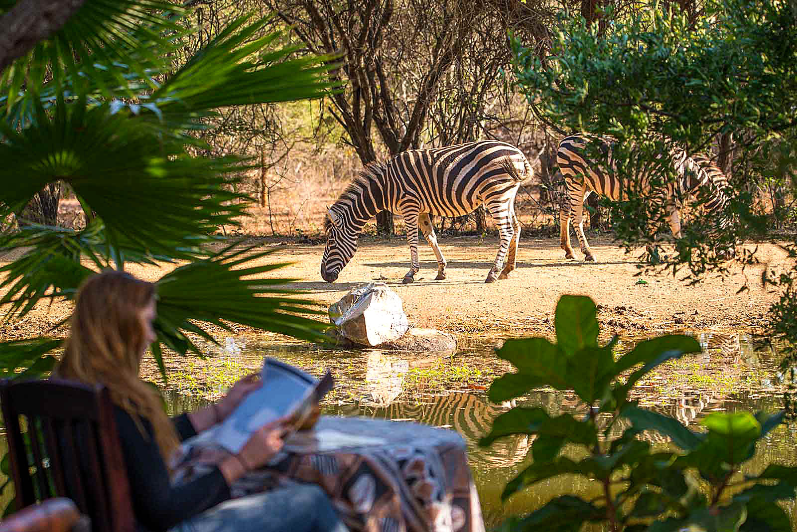 Kom helt nær dyrene fra din safarilodge