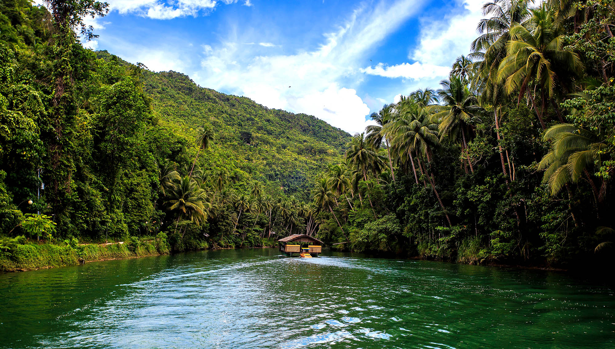 Se masse grønn bevoksning, jungel og frodige fjell når du reiser til Filippinene