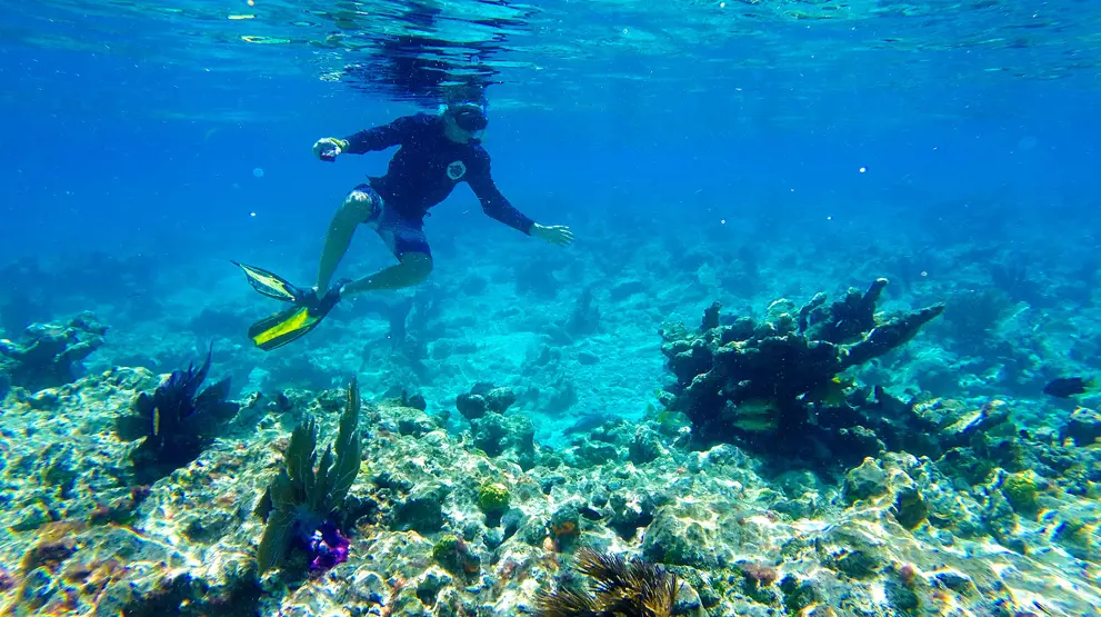 Opplev livet under vann med snorkling - Aktivitetsferie