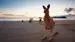 Kangaroo Island - Rundreise i Australia Kangaroo Island - Rundreise i Australia