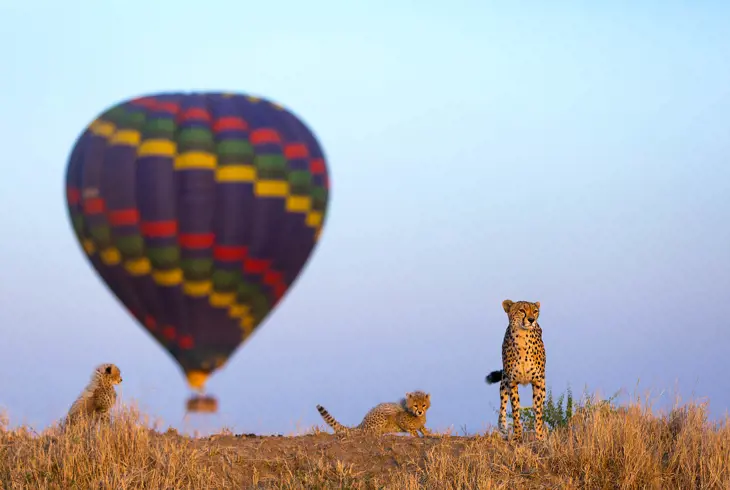 Ballongsafari over slettene i Serengeti, Tanzania