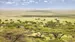 Savannen i Serengeti Savannen i Serengeti