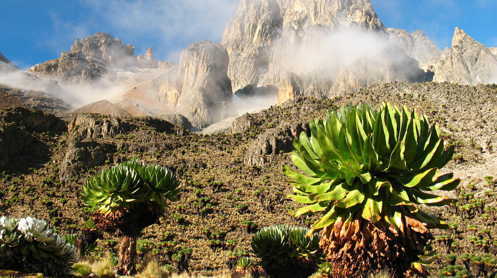 Variert natur ved Mount Kenya