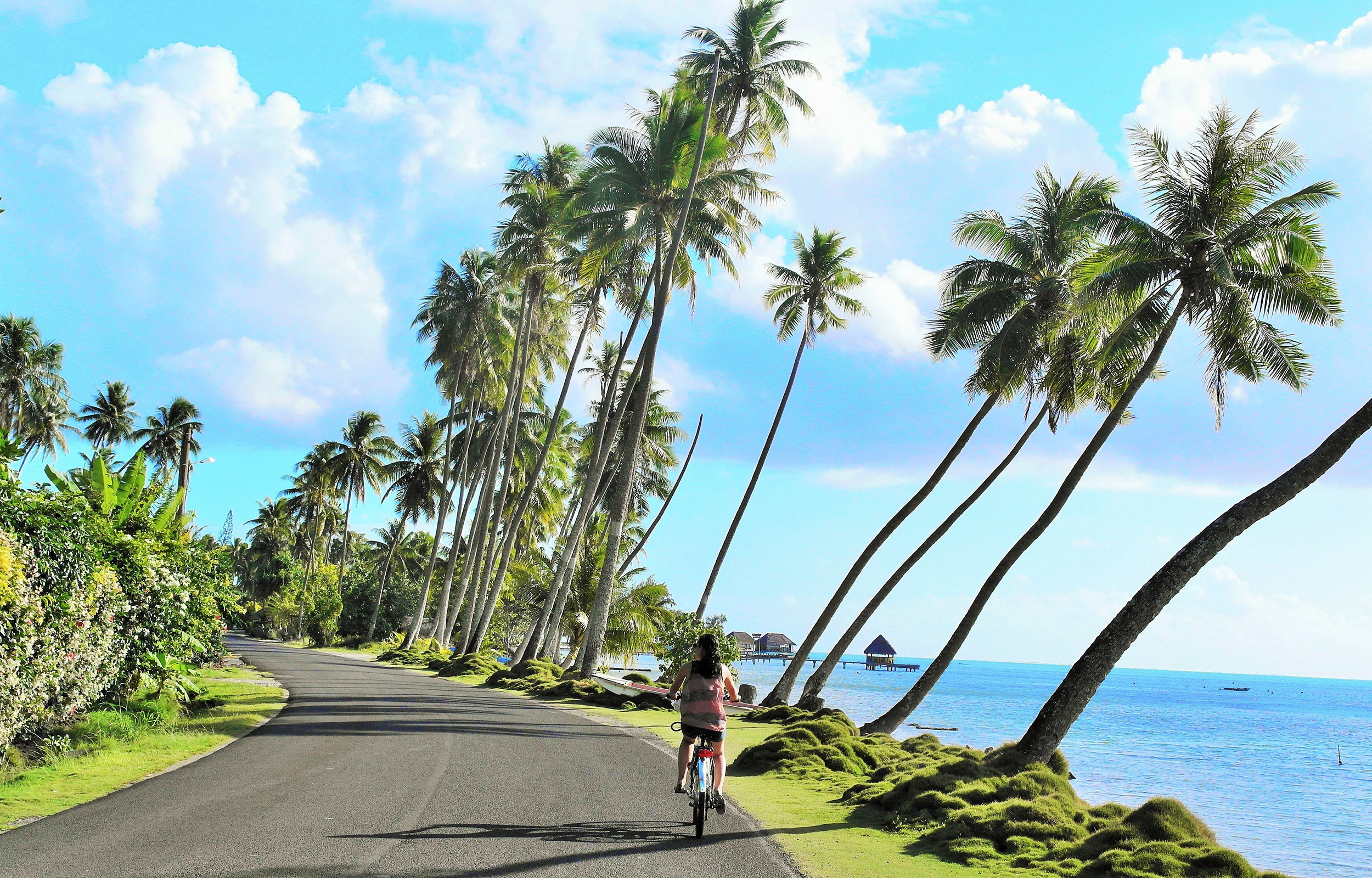 Dra på en sykkeltur rundt øya 