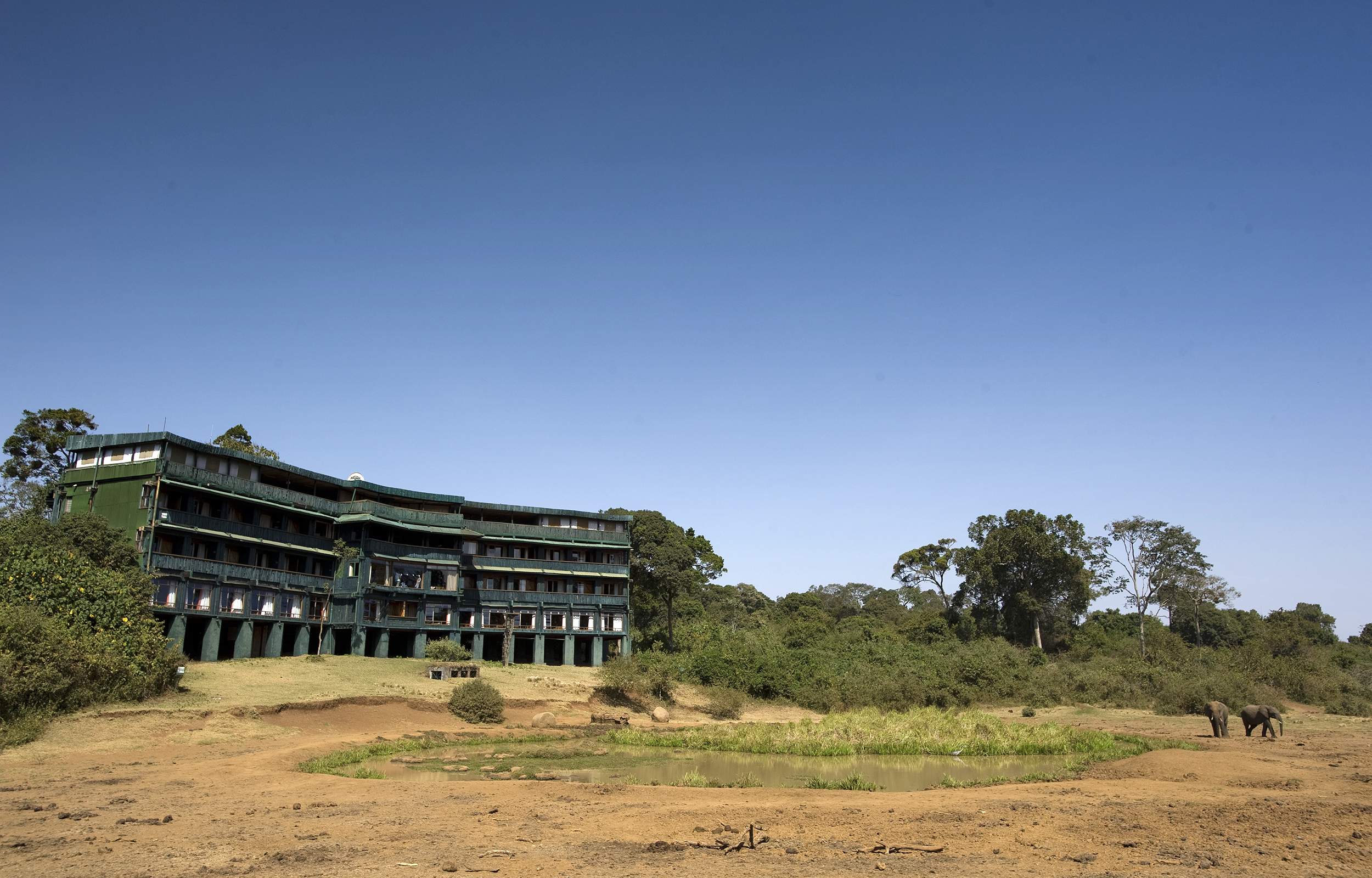 Serena Mountain Lodge i Kenya