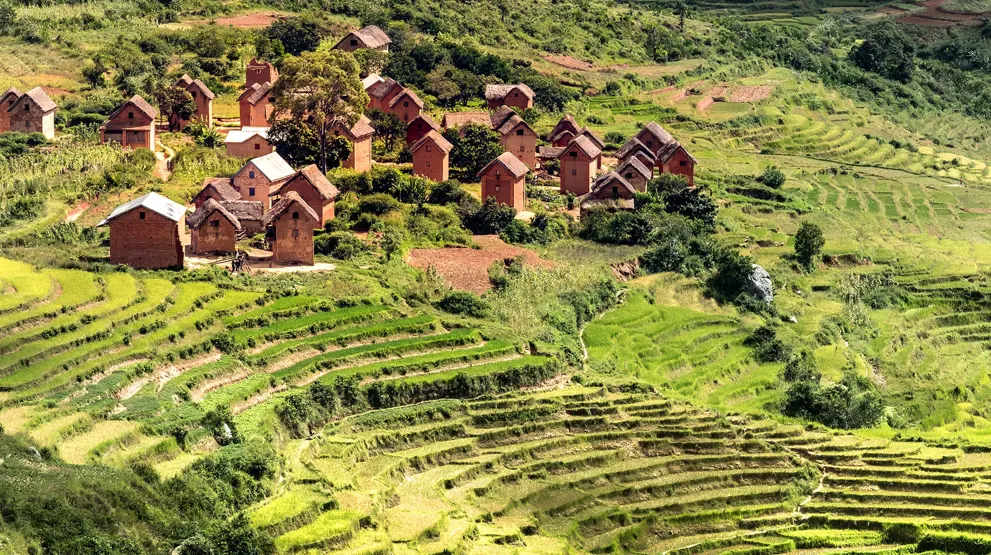 Gled dere til autentiske opplevelser på et lokalt landsbybesøk i rismarkene