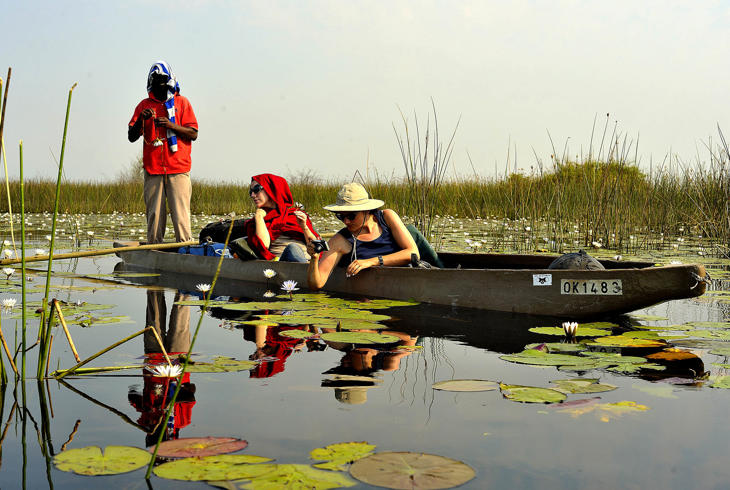 Mokoro båttur i Okavango-deltaet i Botswana