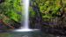 Fossefall i El Yunque National Forest - Reiser til Puerto Rico