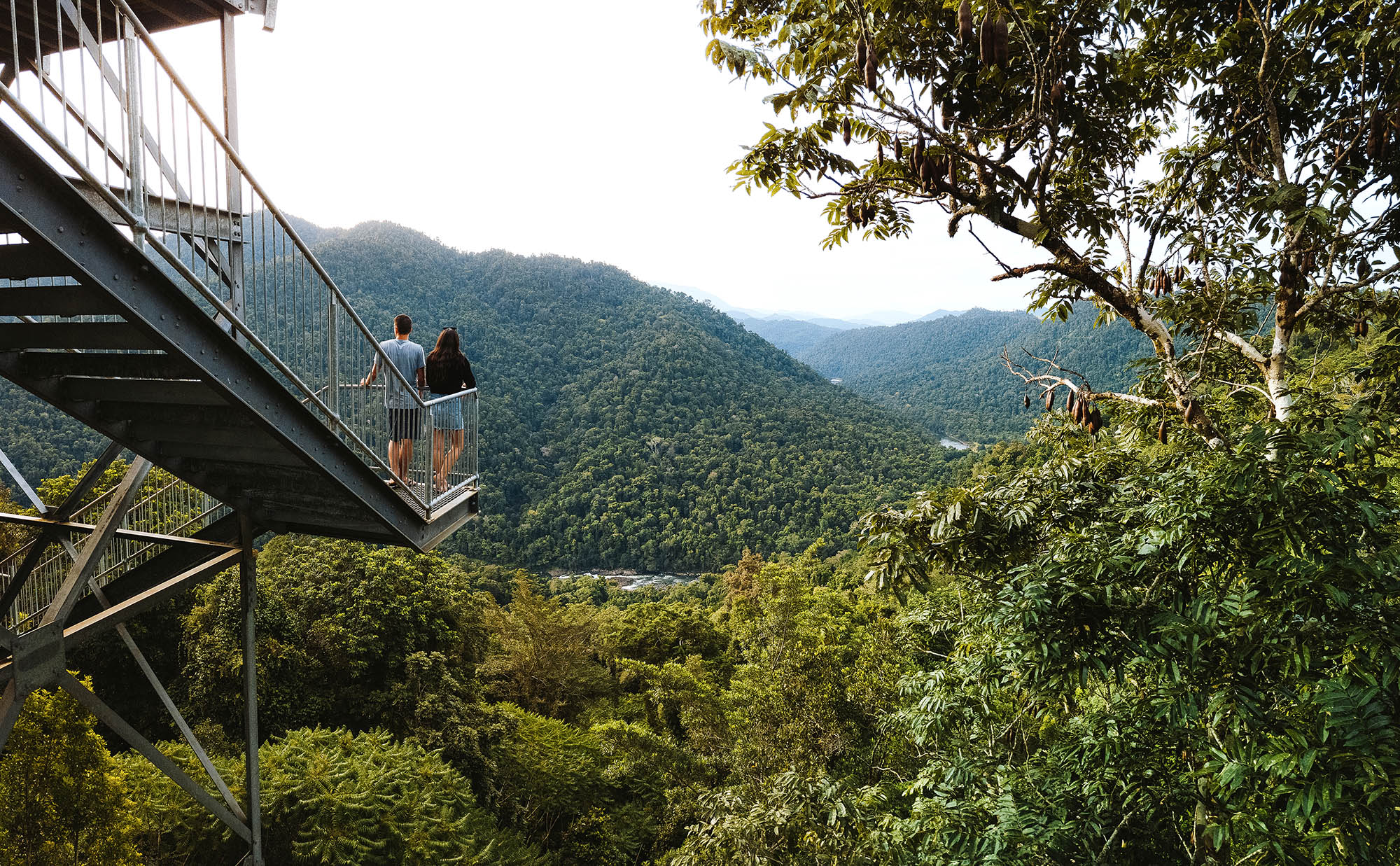 Mamu Tropical Skywalk | Foto: Tourism Events Queensland