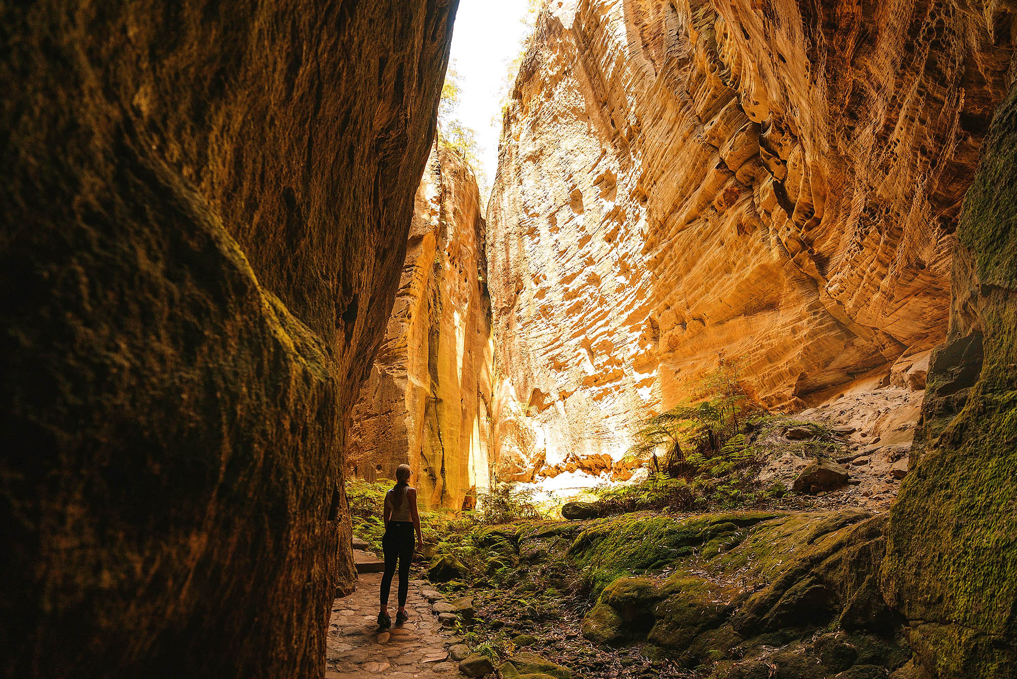 Carnarvon Gorge | Foto: Tourism Events Queensland