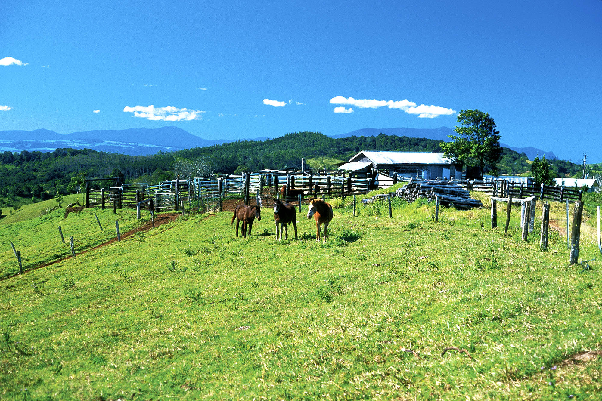 Frodig landbruksområde i Atherton Tablelands
