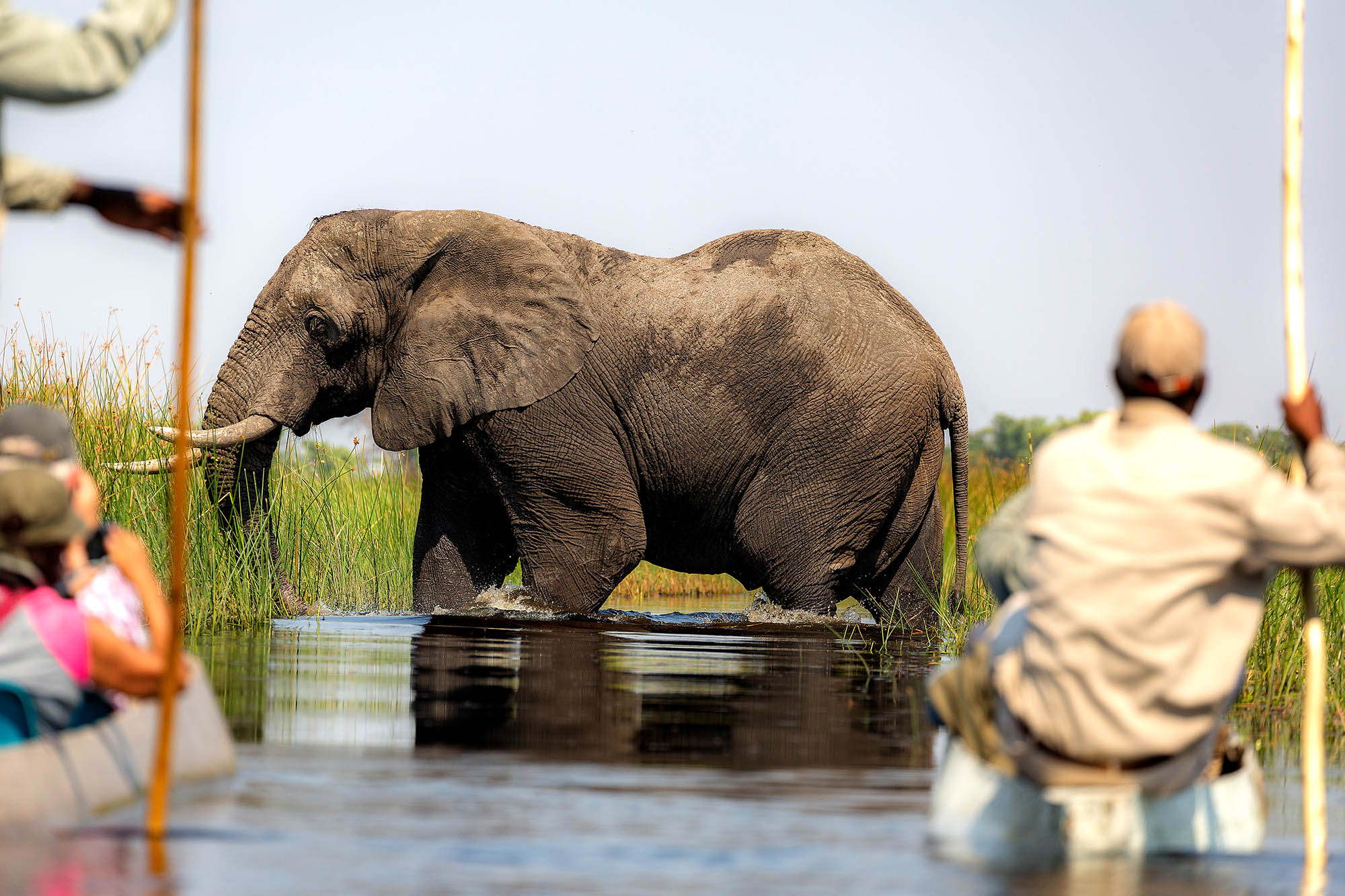 Okavangodeltaet, Botswana