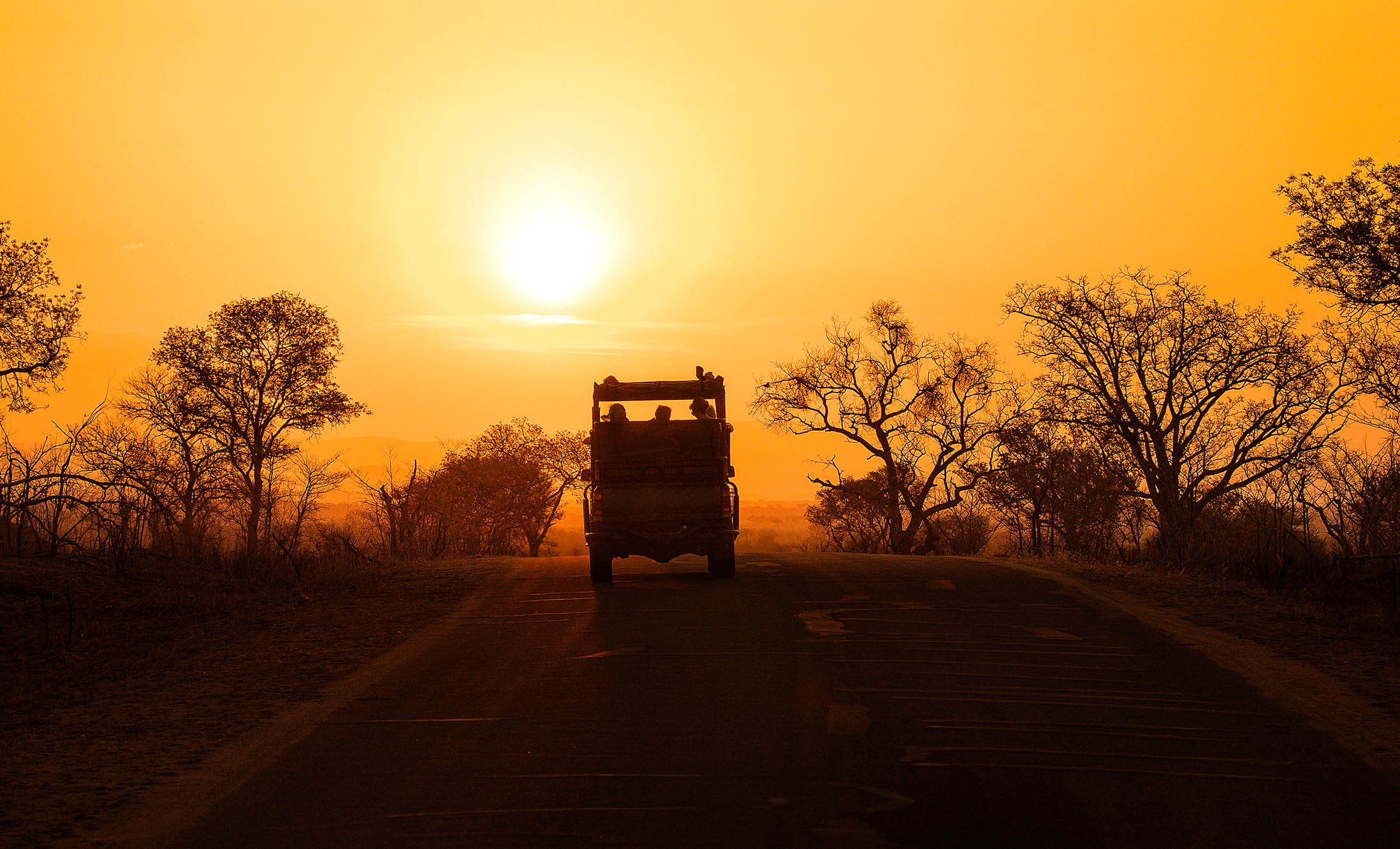 Dra på game drive og se de ville dyrene i Kruger National Park