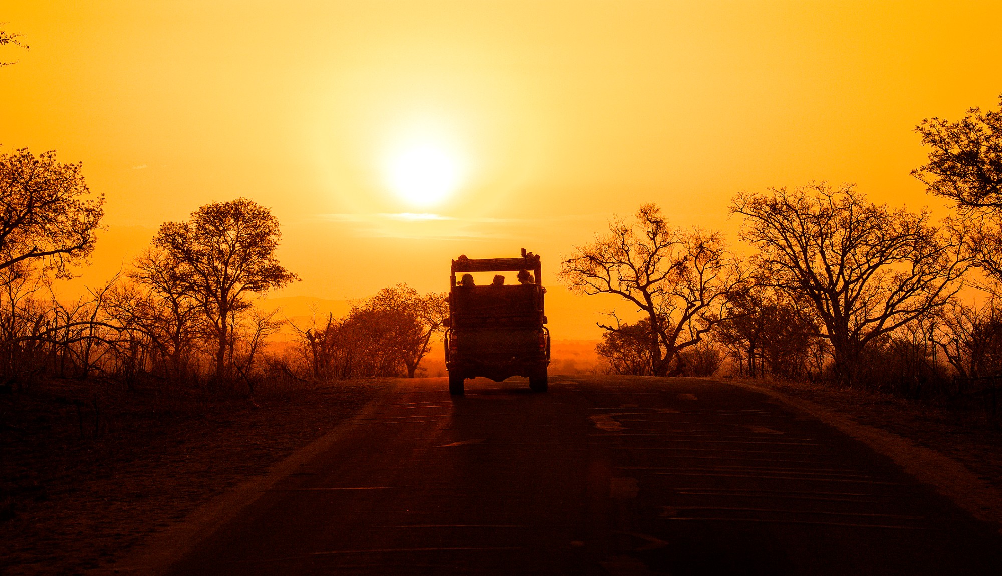 Dra på safari i noen av Kenyas beste nasjonalparker