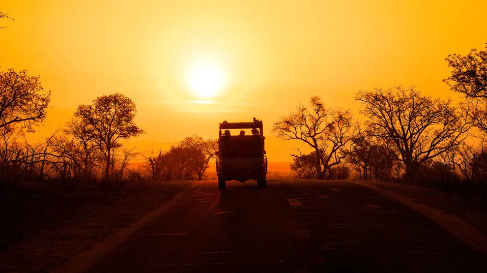 Dra på safari i noen av Kenyas beste nasjonalparker