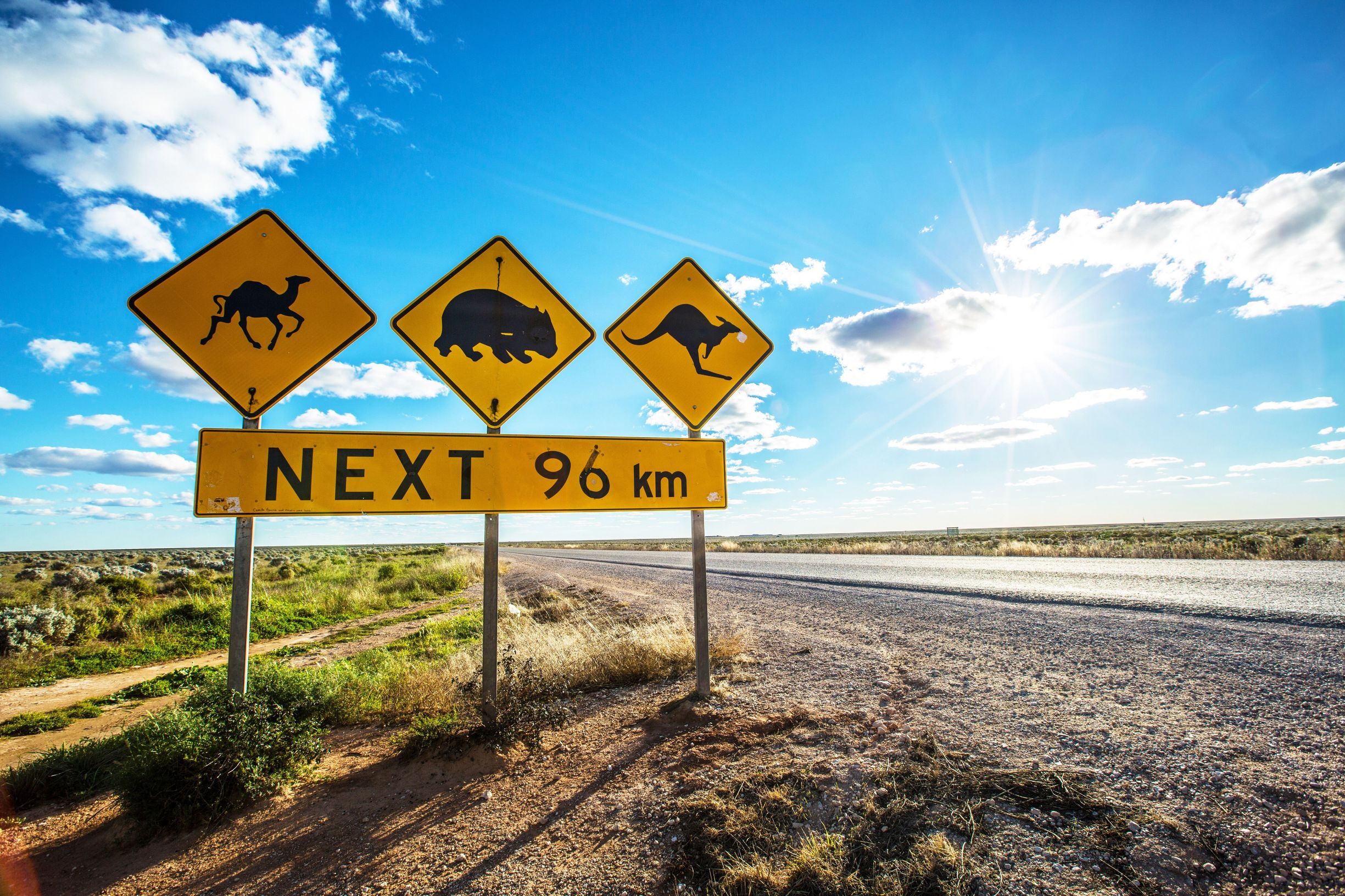 Nullarbor Plain (Foto: Greg Nell)