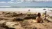 Termisk vann på stranden i Mercury Bay - Reiser til Coromandel Termisk vann på stranden i Mercury Bay - Reiser til Coromandel