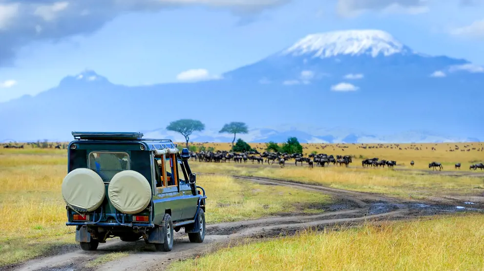 På safari med BENNS i Afrika er du garantert å få de beste lokale guidene