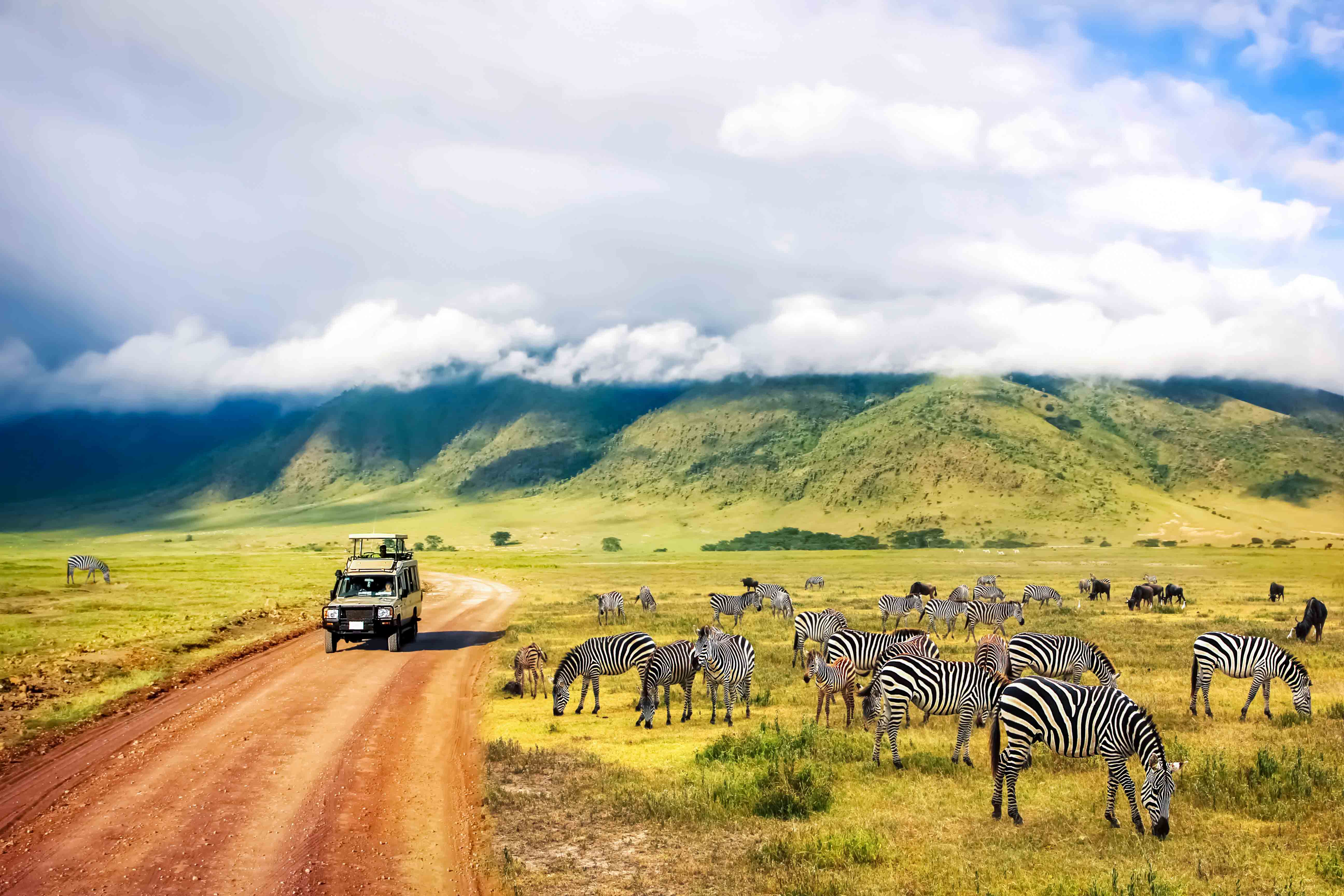Utforsk det frodige Ngorongoro-krateret