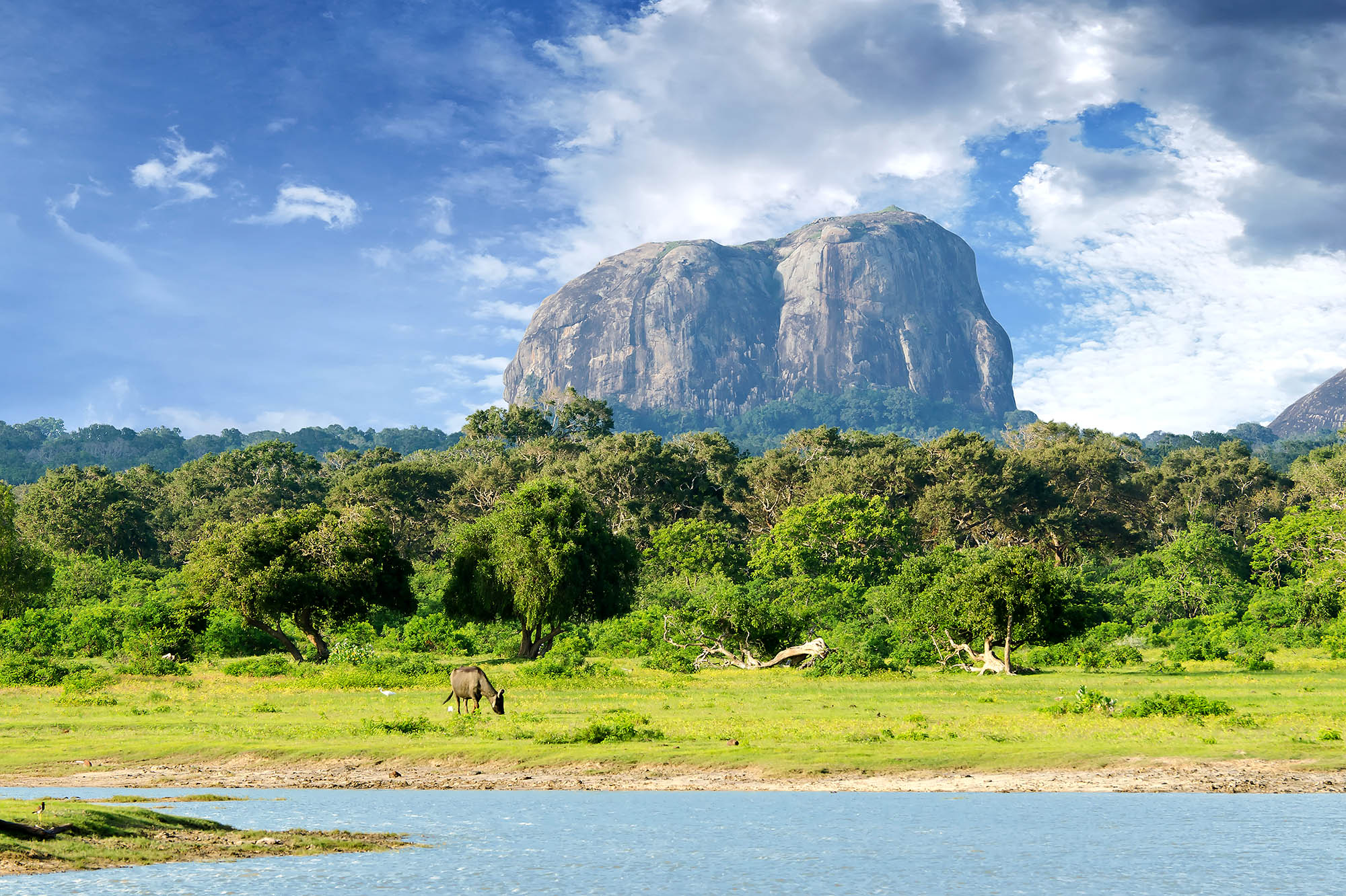 Elephant Rock i Yala National Park