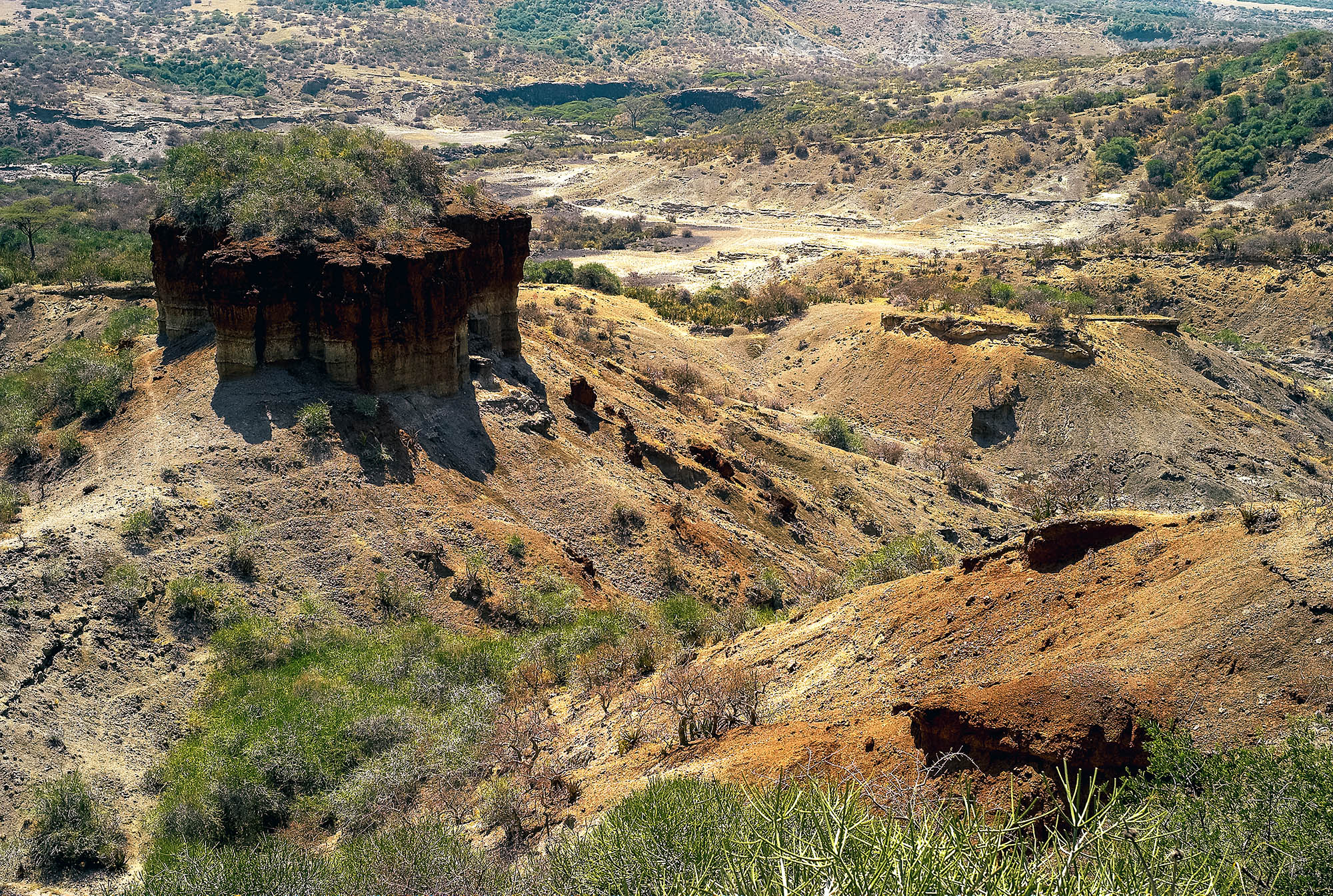 Kløftene i det forunderlige Olduvai Gorge