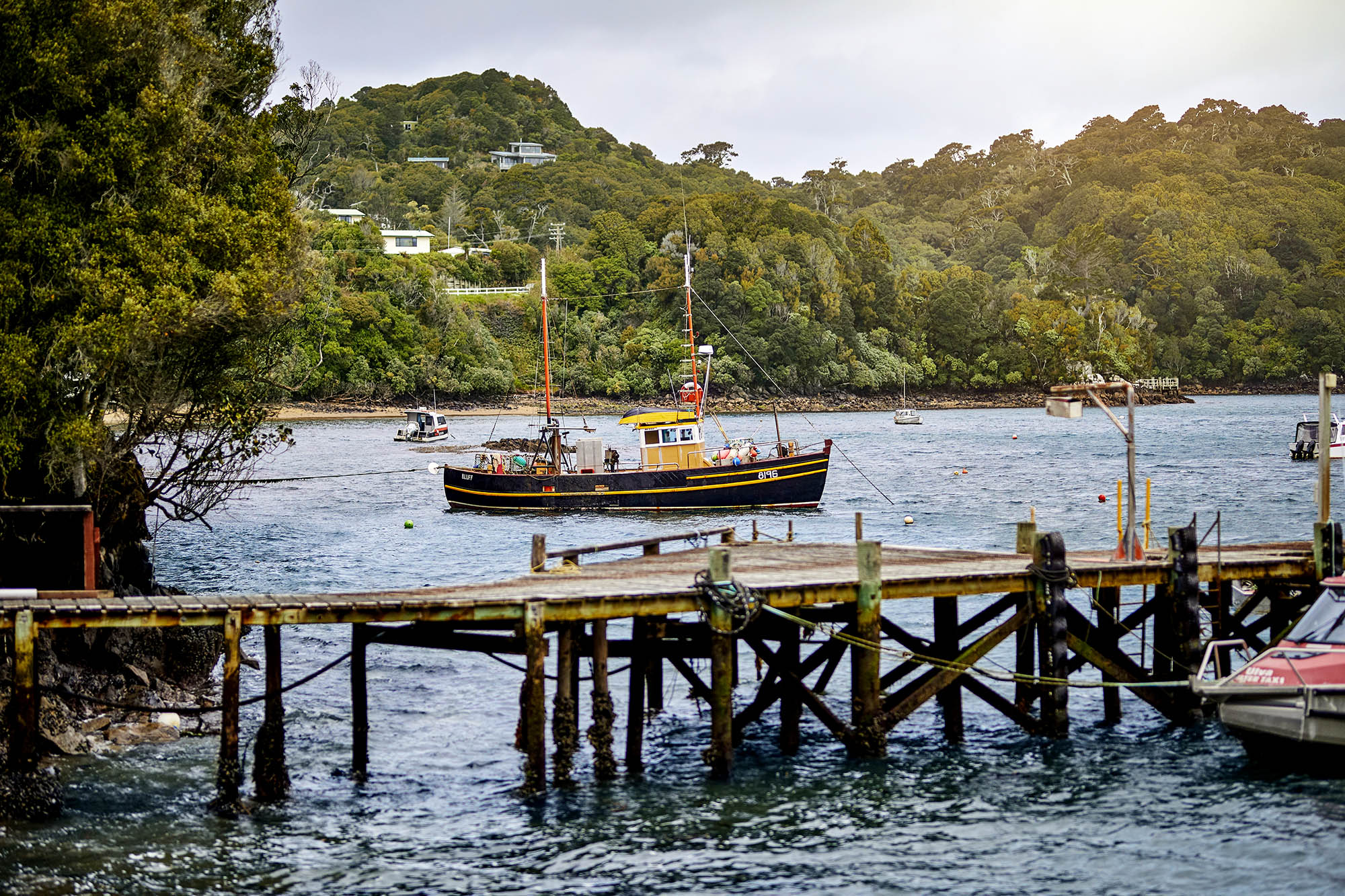Stewart Island | Credit: Matt Crawford