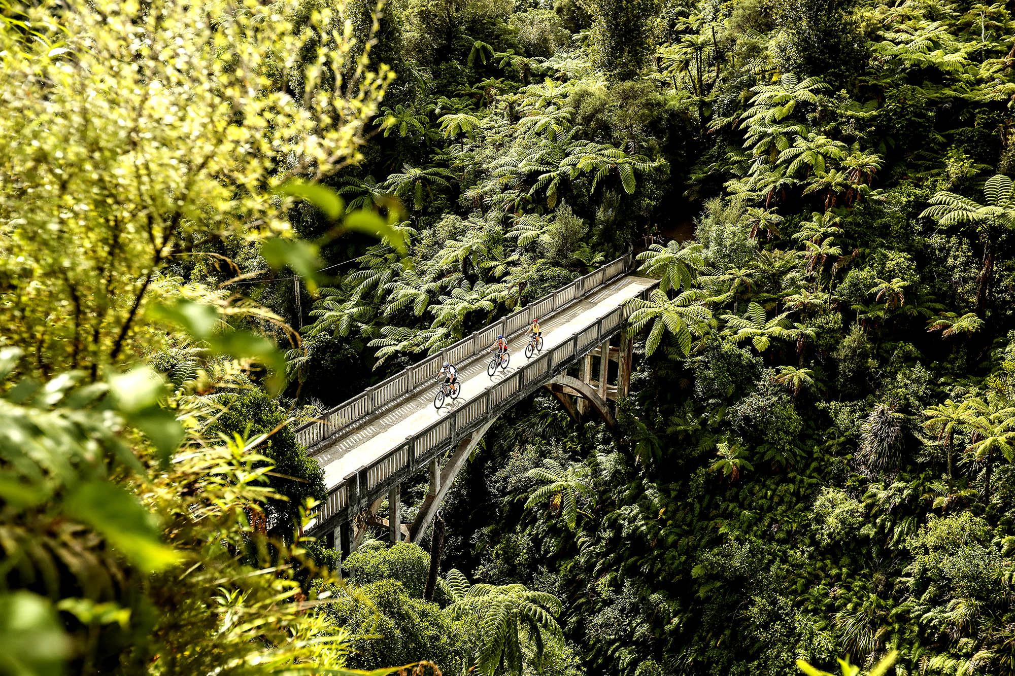 Bridge to Nowhere | Credit: Tourism NZ