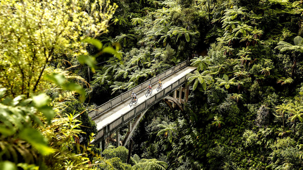 Bridge to Nowhere | Credit: Tourism NZ