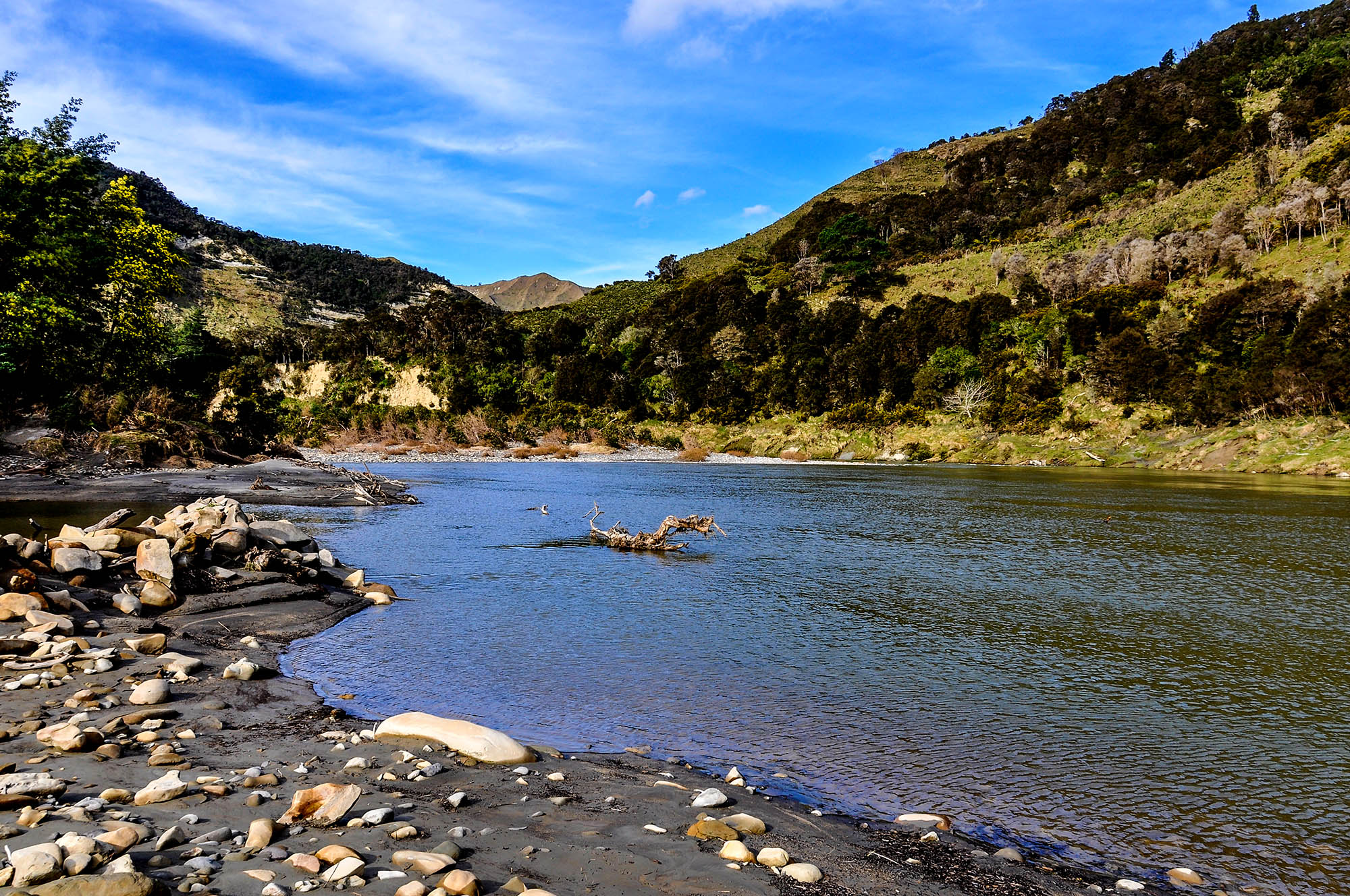 Elvebredden langs Whanganui River