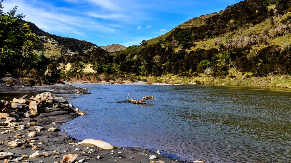 Elvebredden langs Whanganui River
