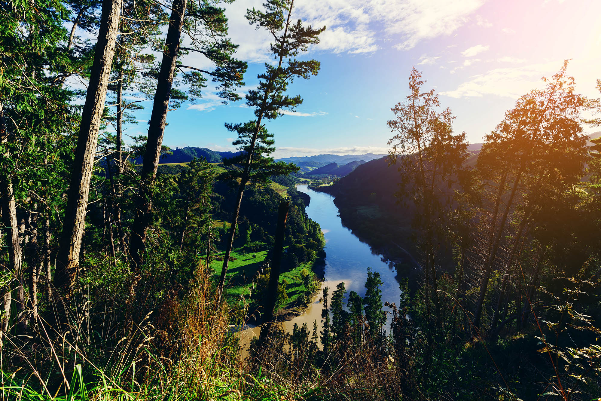 Whanganui River sett fra høyden