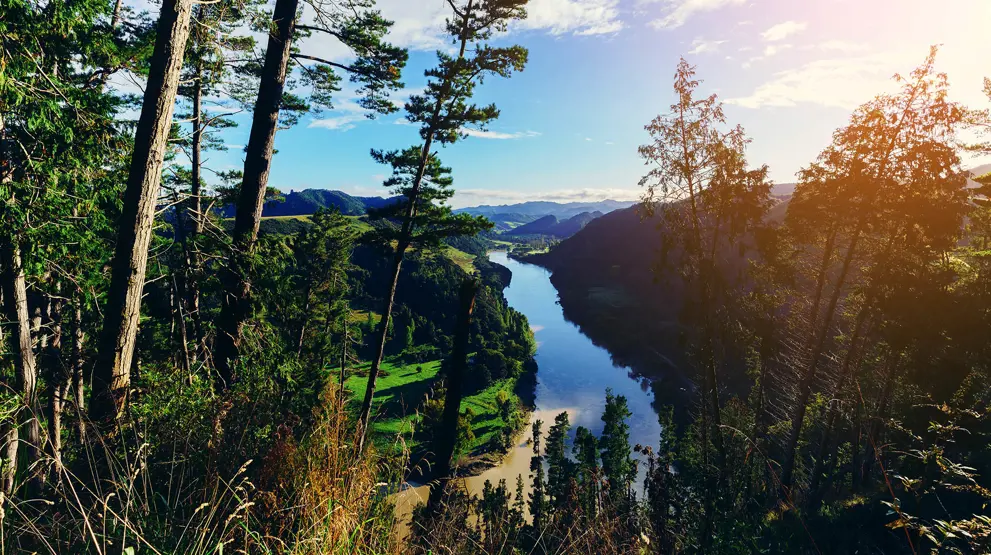 Whanganui River sett fra høyden