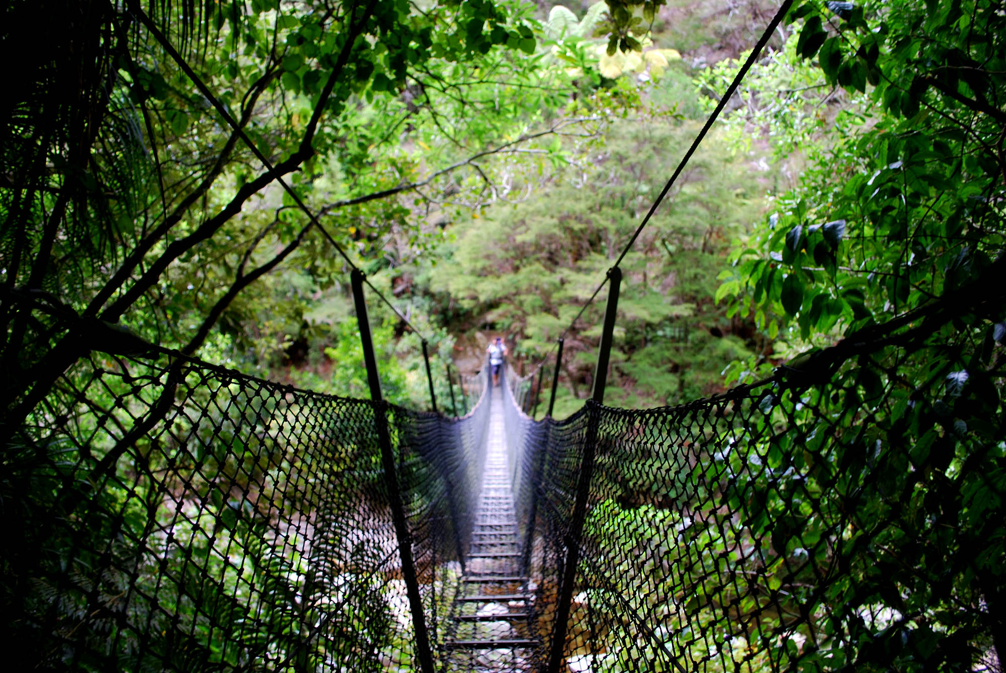 Gå over den 47 meter lange hengebroen på 'Abel Tasman Coast Track'