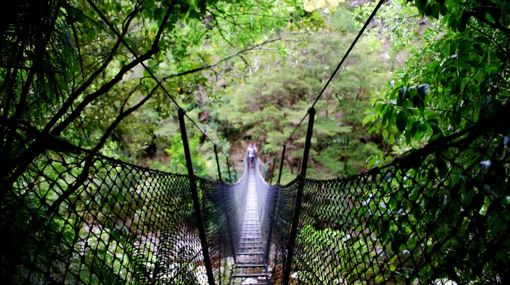 Gå over den 47 meter lange hengebroen på 'Abel Tasman Coast Track'