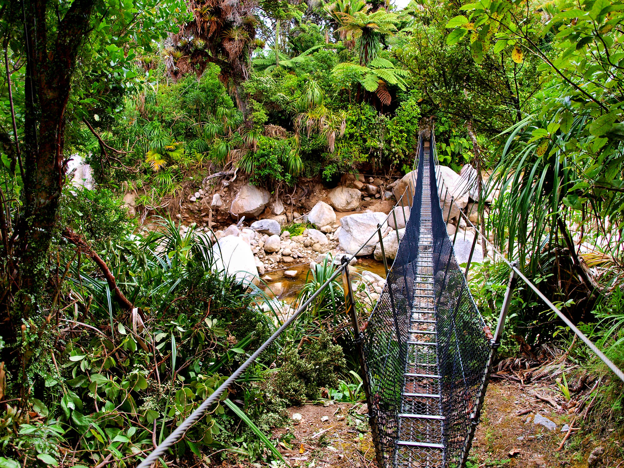 Hengebro på 'Heapy Track', Kahurangi nasjonalpark