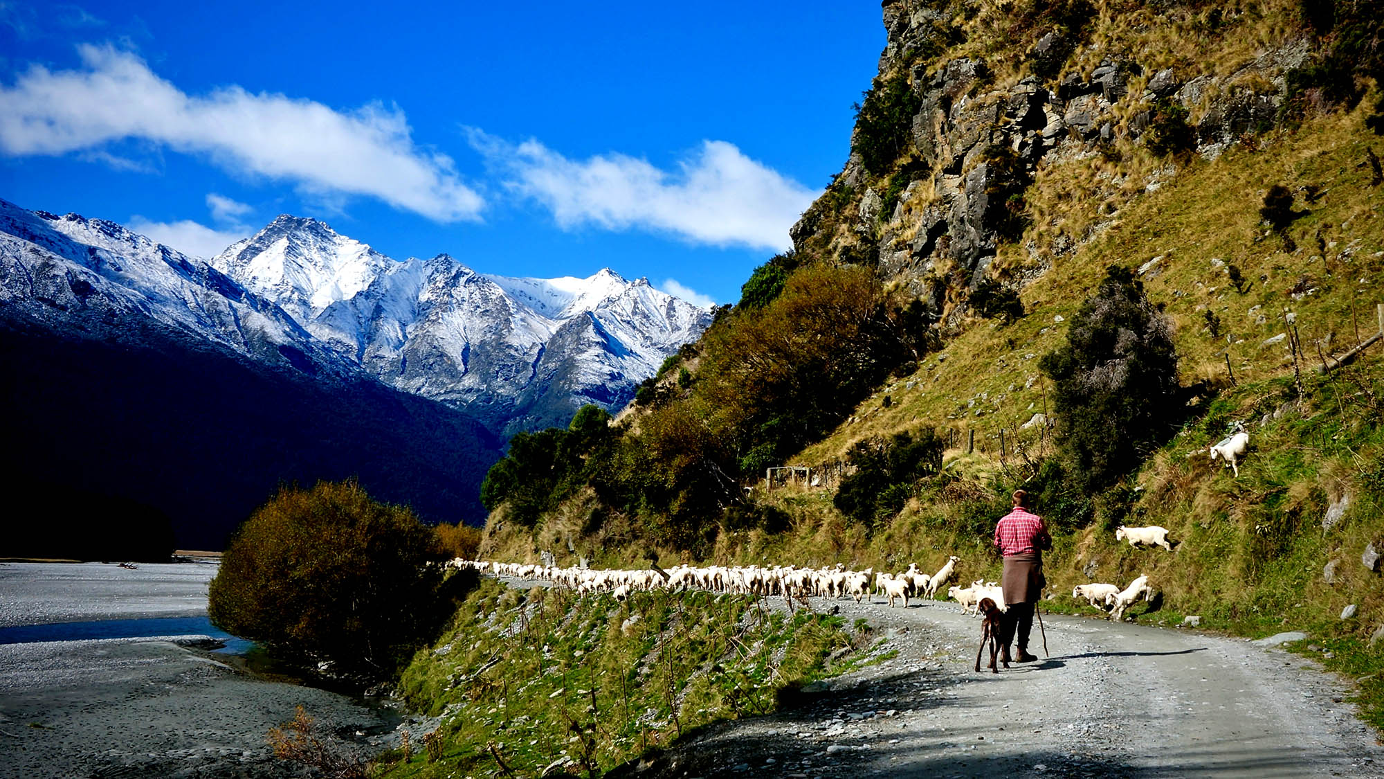 Vakre omgivelser i Mount Aspiring nasjonalpark