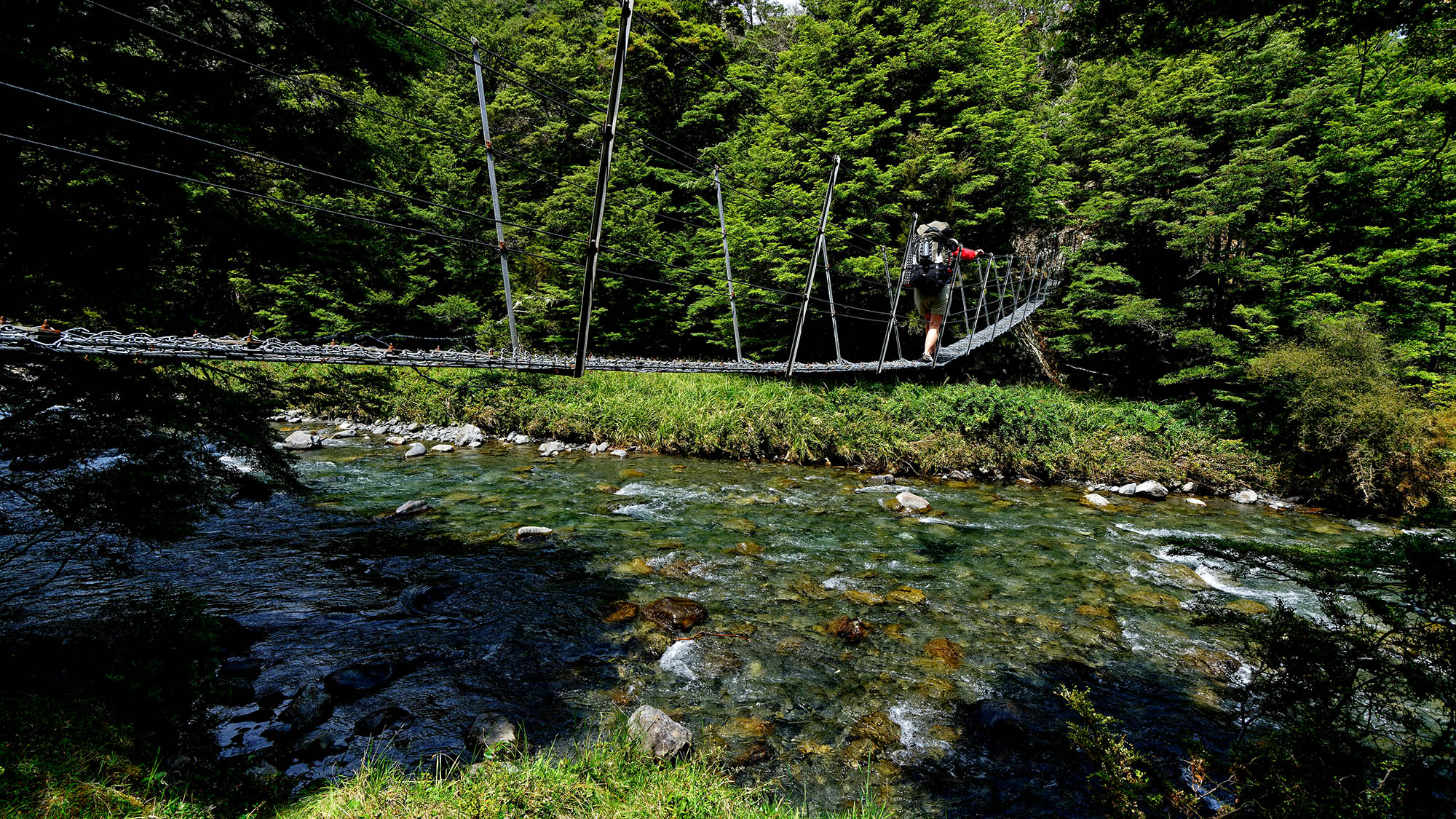 Lees Creek Hut tursti, Nelson Lakes nasjonalpark