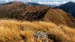 Paparoa Range, Paparoa nasjonalpark Paparoa Range, Paparoa nasjonalpark