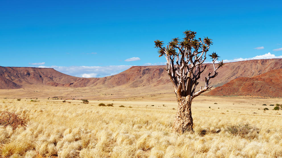Kalahari byr på et imponerende landskap - Safari i Kalahari