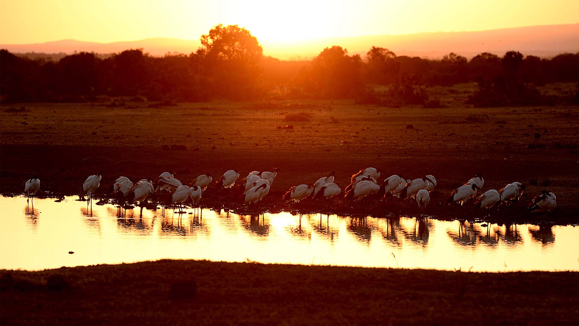 Spektakulære omgivelser