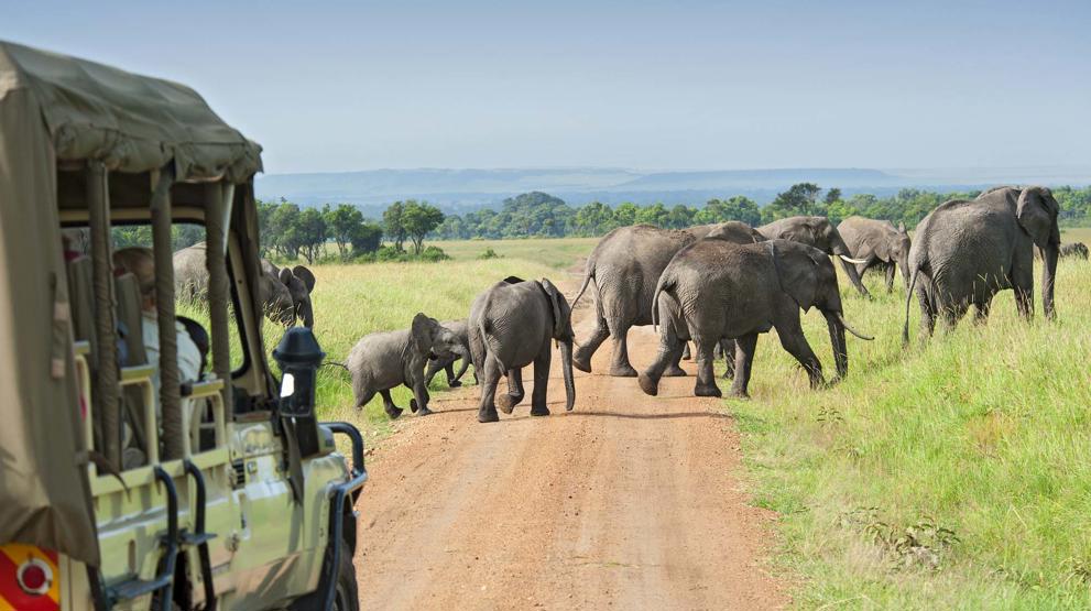 Bli med BENNS på eventyrlige safarireiser i Afrika