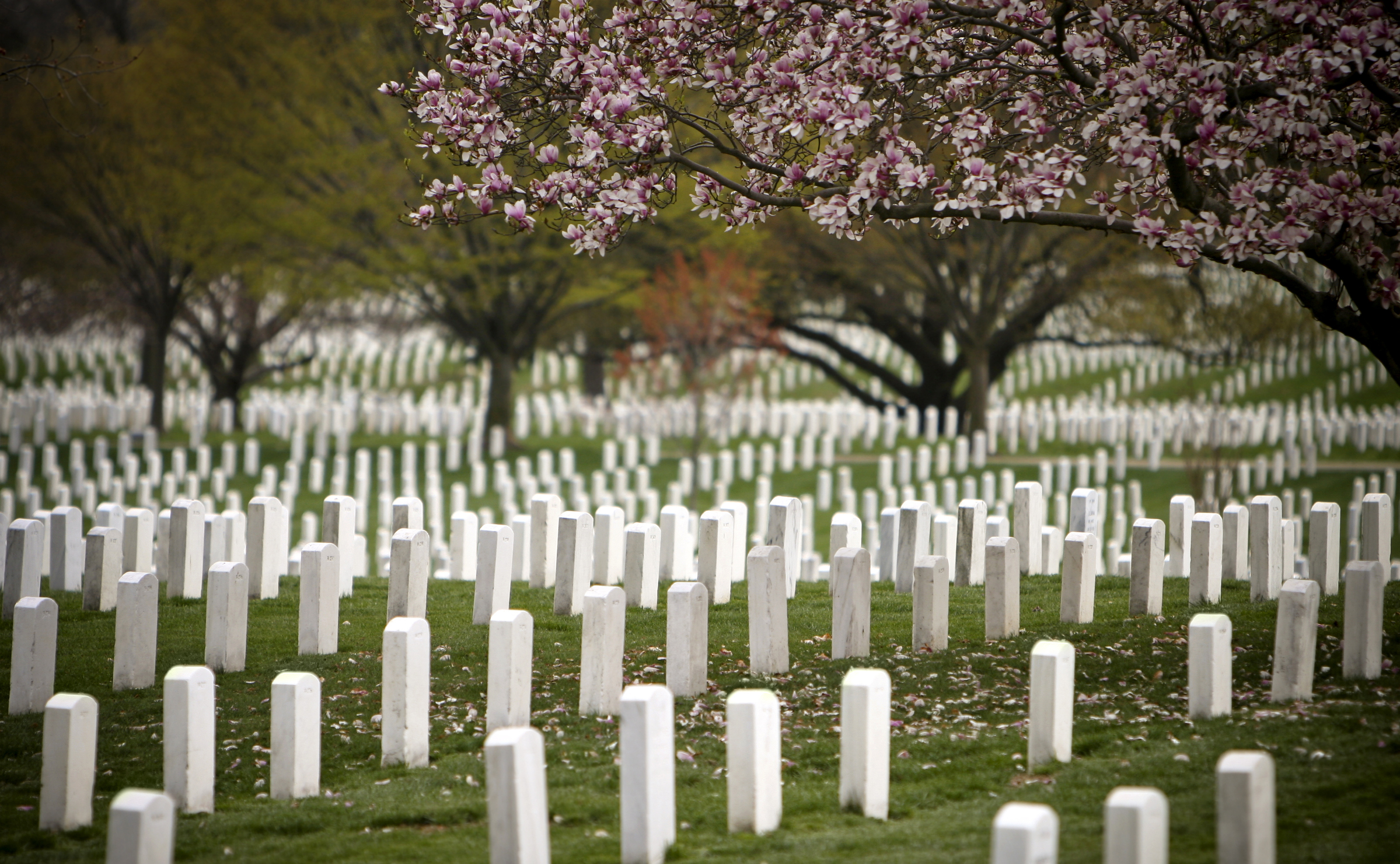 Arlington National Cemetery 