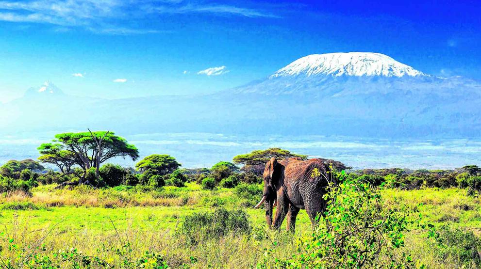 Vakkert landskap med Kilimanjaro i bakgrunnen 