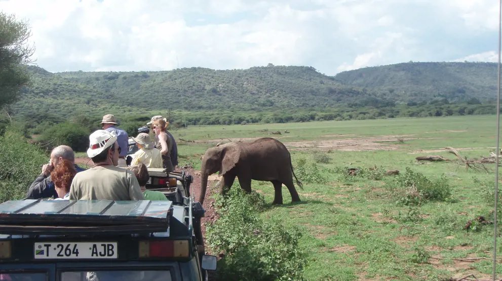 Safari. Foto: Tanzania Tourism - Safari i Lake Manyara
