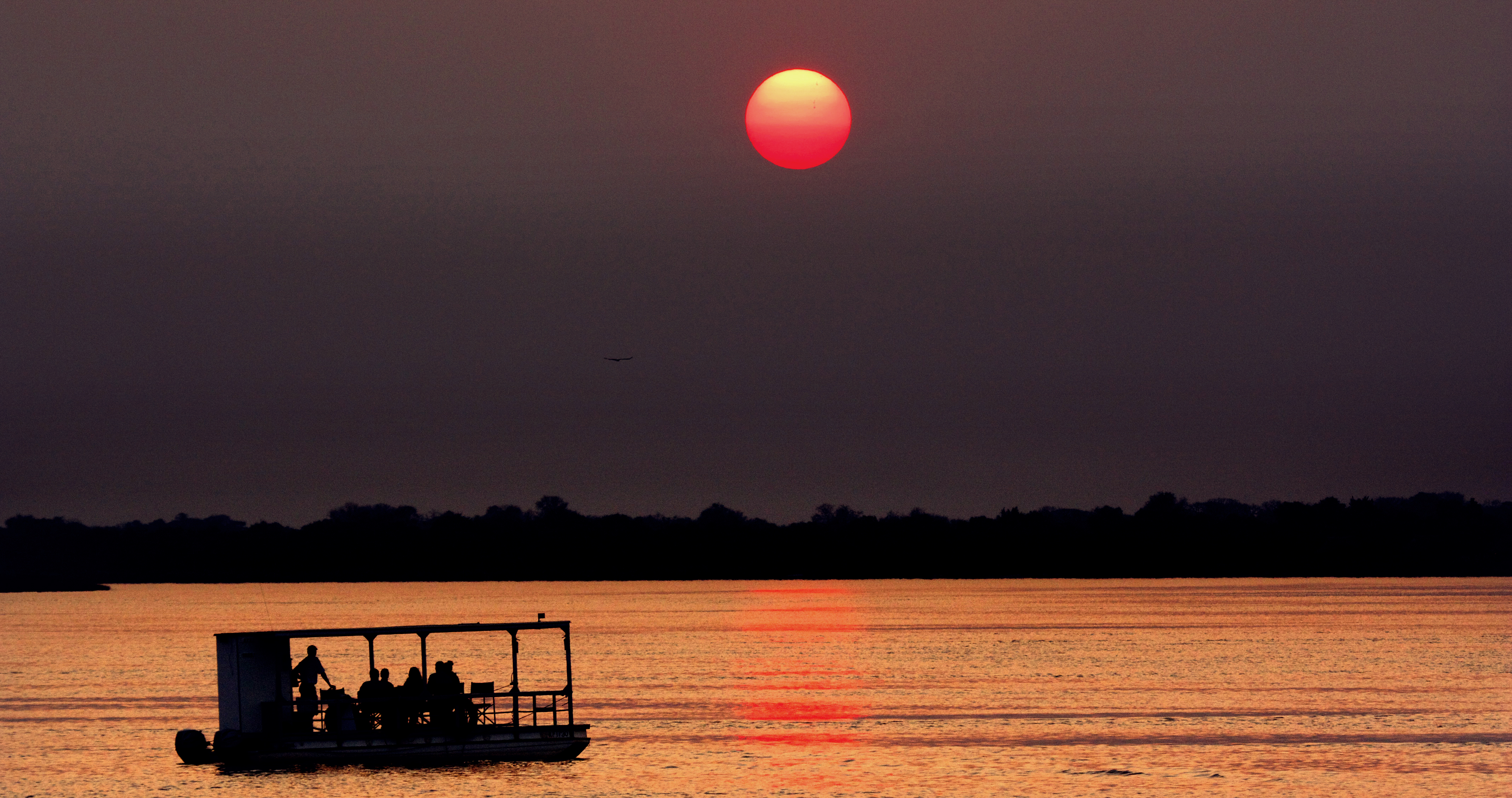 Elvecruise på Zambezi-elva. Foto: Imvelo Safari Lodges - Safari i Zimbabwe